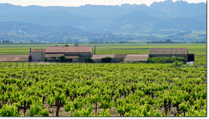 Domaine la Collière
