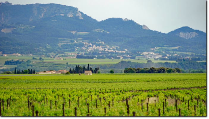 Udsigt fra Domaine la Collière mod Gigondas