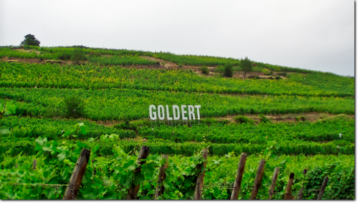Grand Cru marken "Goldert"